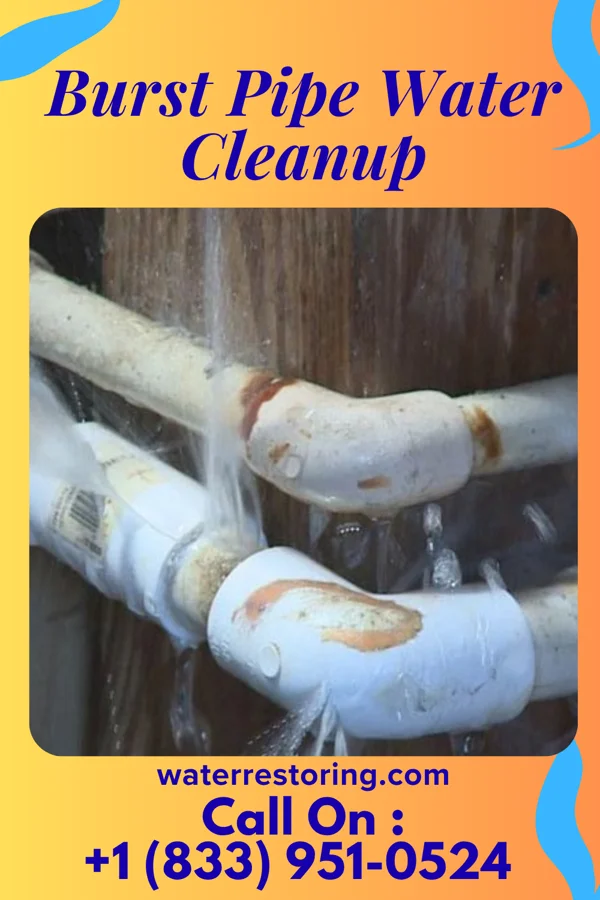 Burst Pipe Water Cleanup in Kalapana, HI