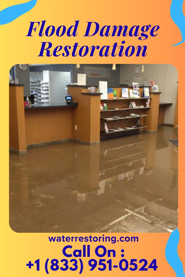 Flood Damage Restoration in Kalapana, HI