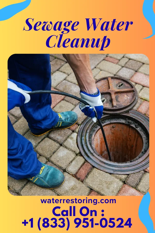 Sewage Water Cleanup in Kalapana, HI